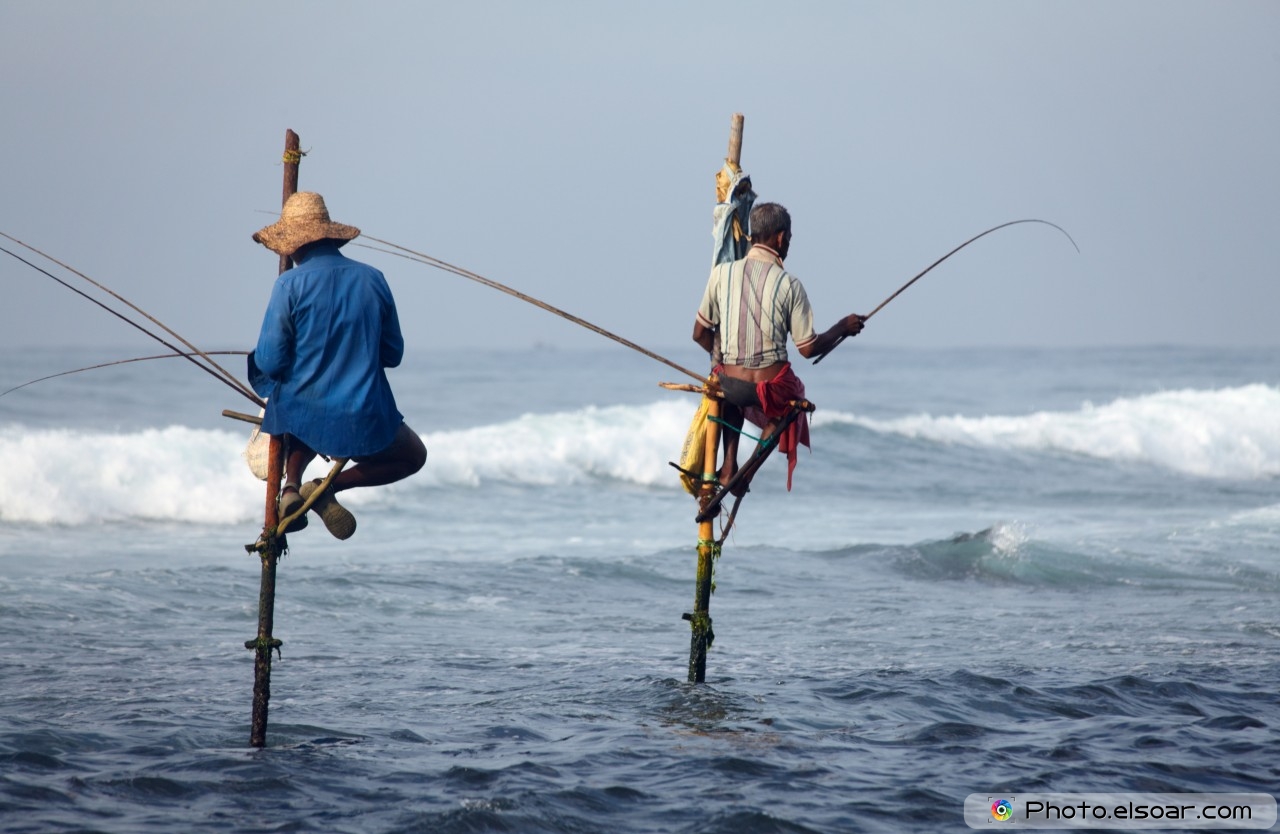Sri lankan pole fishermen fish in the Indian Ocean