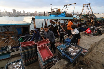 palestinian fishermen sell fish gaza city