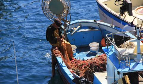 El Proyecto Medfish publica las preevaluaciones sobre la sostenibilidad de tres nuevas pesquerías   