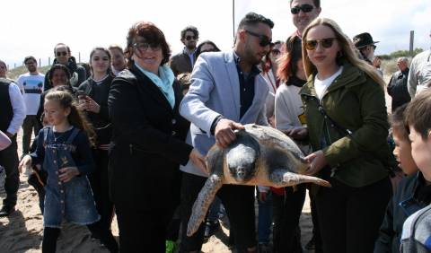 126 los ejemplares de tortuga boba recuperados gracias a la intervención de pescadores profesionales