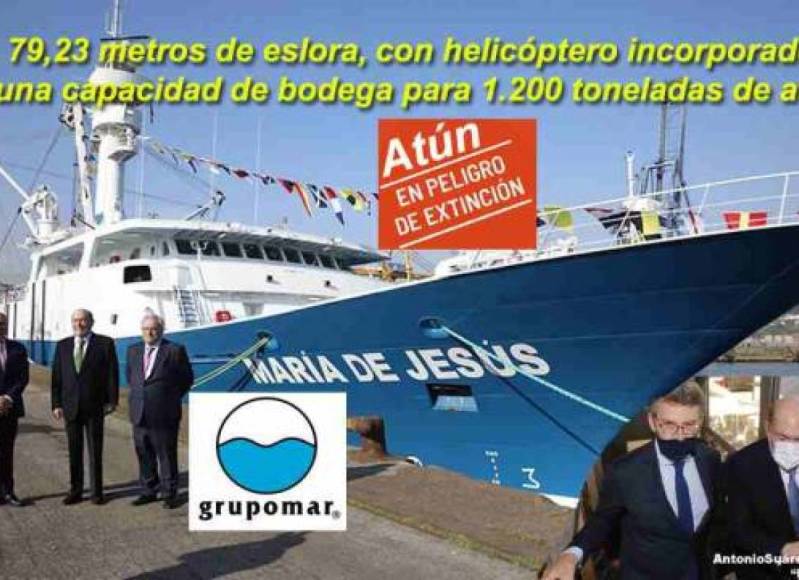 Greenpeace pide a los Gobiernos que frenen el lobby empresarial de cara a la primera COP de océanos